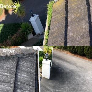 Gutter-cleaning-review