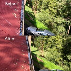 Gutter-cleaning-review