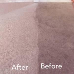 carpet-cleaning-review
