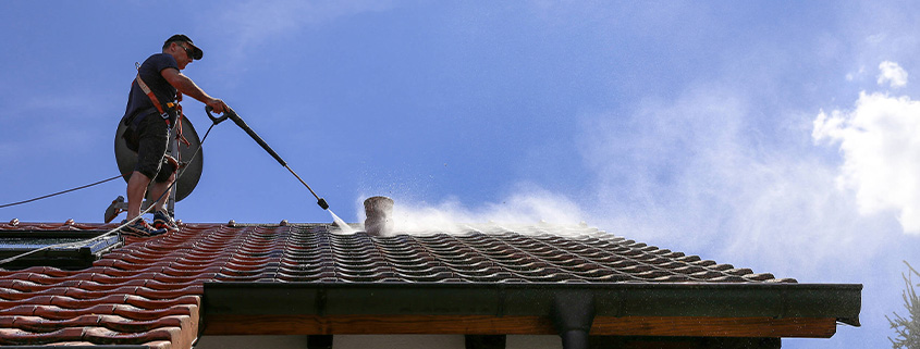 service-roof-cleaning