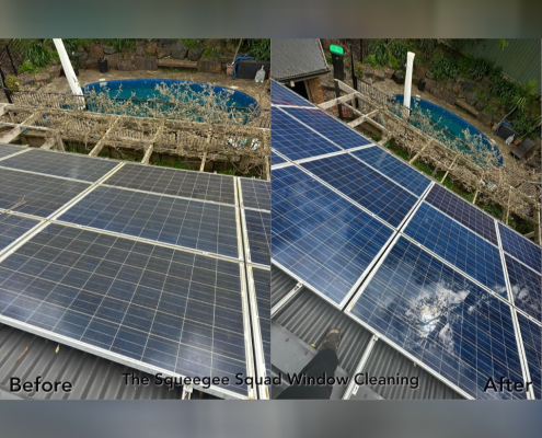 Residential Solar Panel Cleaning